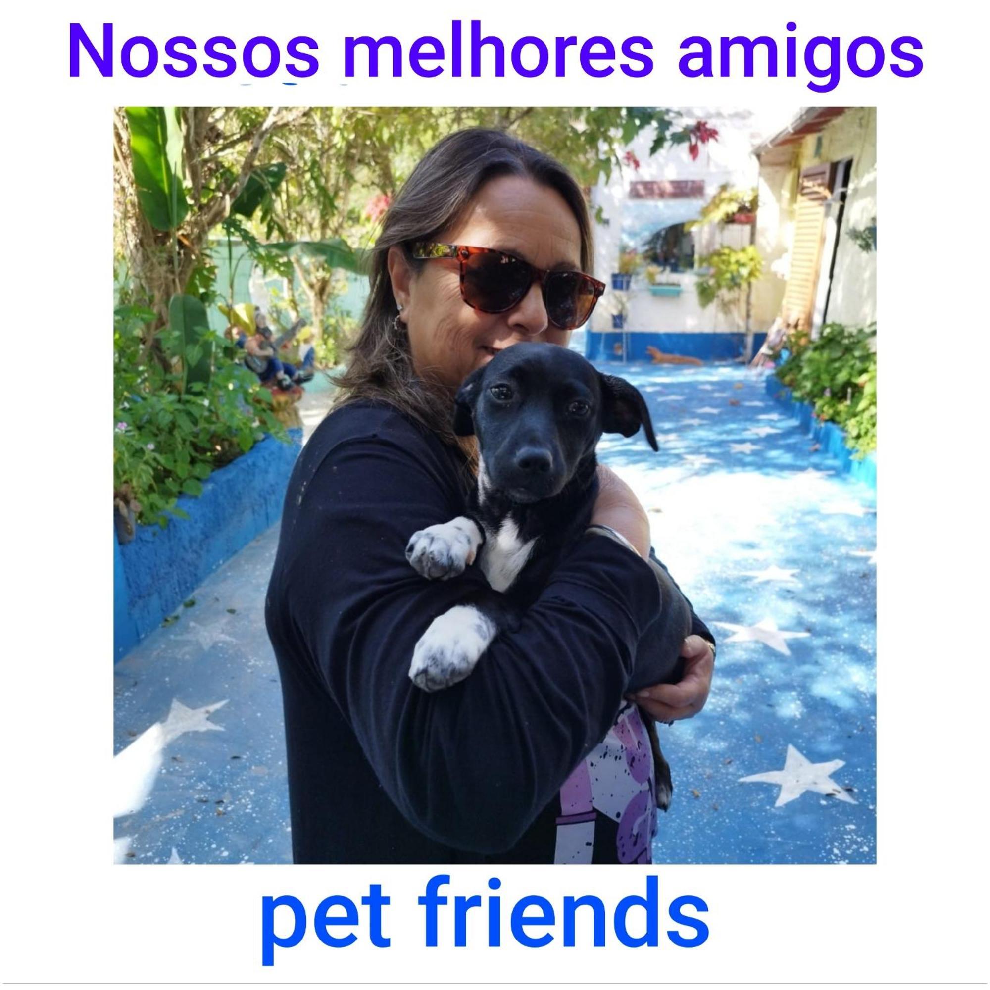 Pousada Das Estrelas No Centro De Conservatória Buitenkant foto