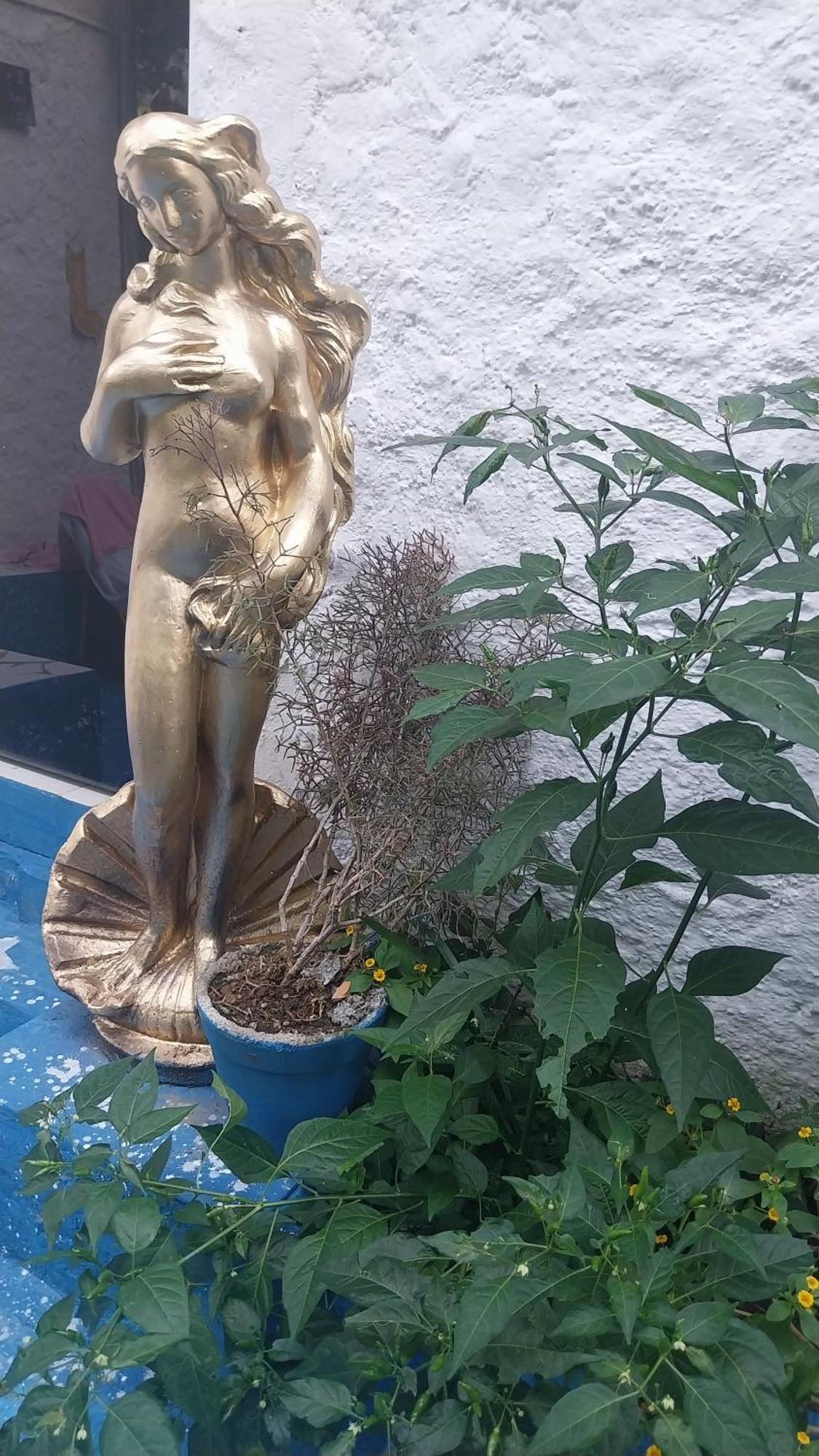 Pousada Das Estrelas No Centro De Conservatória Buitenkant foto